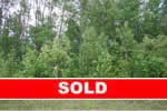 91 Fred Jeschke Drive